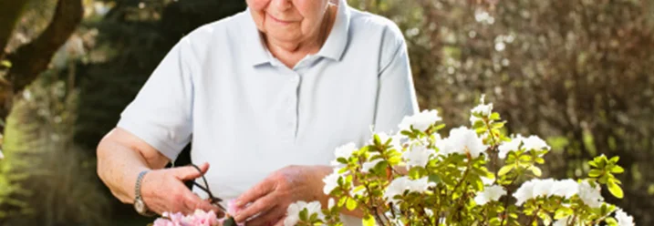 Person schneidet Pflanze mit Schere